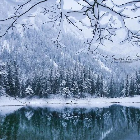 Da Vinci 아파트 카펜베르크